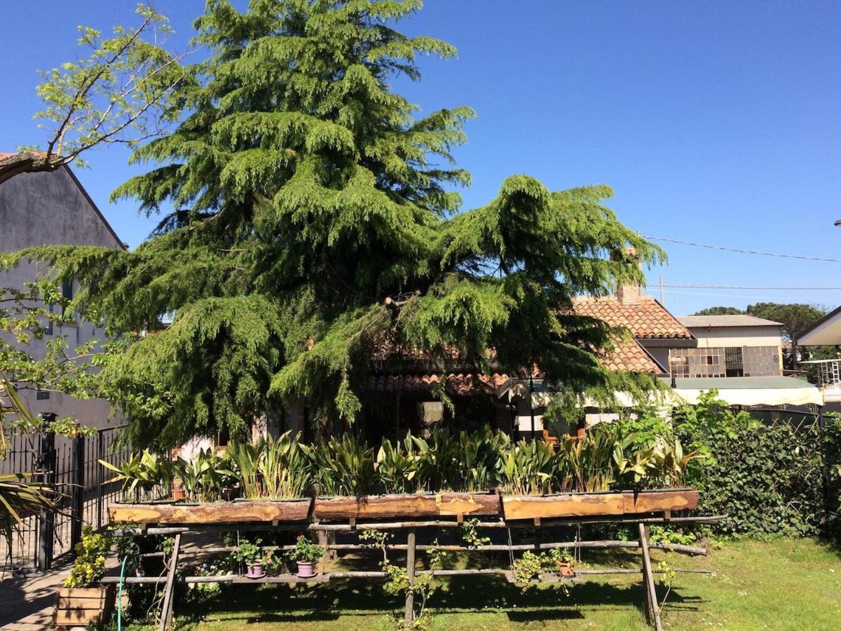 La Casina Del Delta Del Po Villa Porto Viro Eksteriør bilde